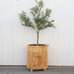 Modern Farmhouse Naga Planter