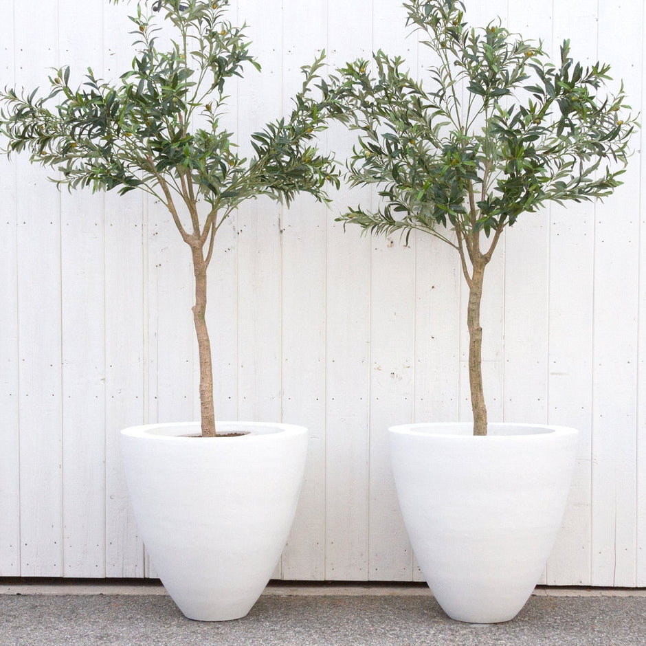 Classic White Round Planter, Set of 2 (Trade)