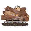 Astria Gas Log and Burner System